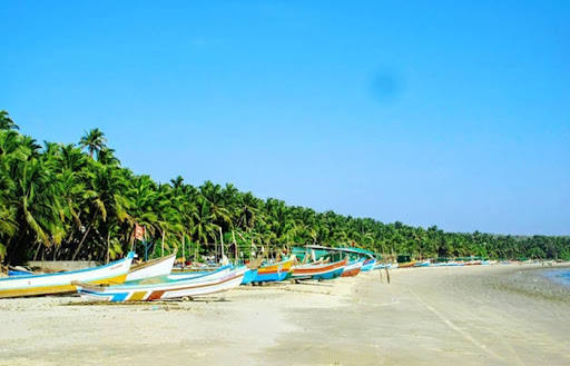 Tarkarli Beach